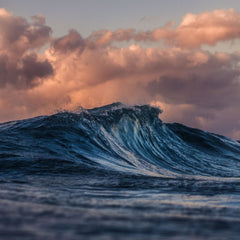 Using the Ocean’s Power to Fight Climate Change