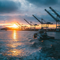 Nature Positive: Role of the Port Sector