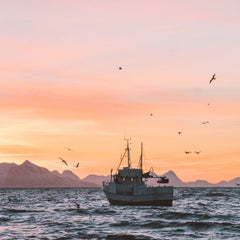 Risk and opportunity in the seafood sector