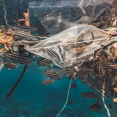 Ocean Plastic: What You Need to Know