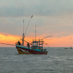 Marine Protected Areas Are Less Effective Than We Thought — Illegal Fishing Is to Blame