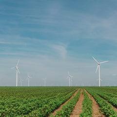 Biden announces US will aim to cut carbon emissions by as much as 52% by 2030 at virtual climate summit