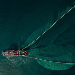 How AI Anchors The Future Of Fishing & Charts The Course To Sustainability