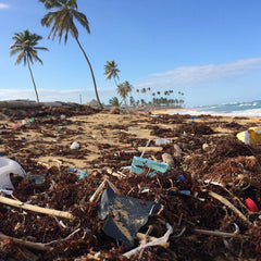 Plastics treaty negotiators must have access to the latest science: Global Plastics Summit