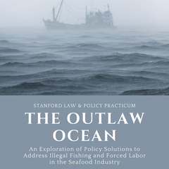 The Outlaw Ocean: An Exploration of Policy Solutions to Address Illegal Fishing and Forced Labor in the Seafood Industry