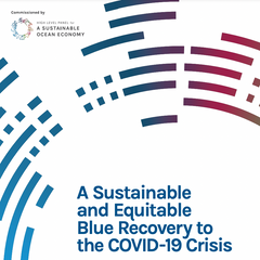 A Sustainable and Equitable Blue Recovery to the COVID-19 Crisis