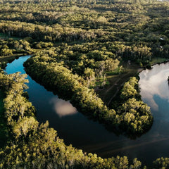 Draft UN biodiversity plan risks another lost decade for nature