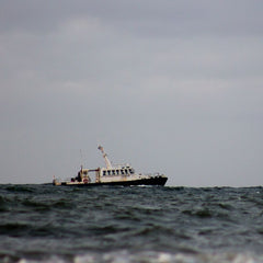 Oceana Finds Hundreds of Vessels Vanishing Along Argentina’s Waters