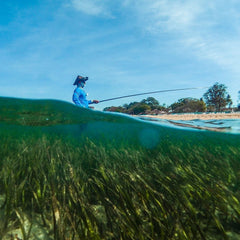 Sunscreen chemicals accumulating in Mediterranean seagrass, finds study