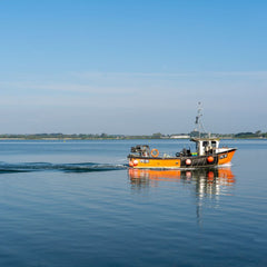 Stop overfishing or we’ll buy elsewhere, top UK fish firm warns European states