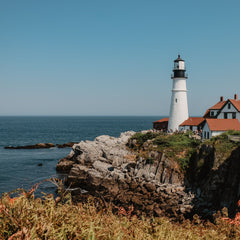 Sea Scallops Farmed in Maine Aren’t Just Sustainable. They’re Helping Their Habitat.