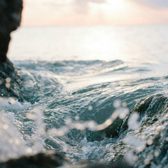 Only 1% of philanthropic funding goes to ocean conservation projects: panellist