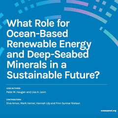 What Role for Ocean-Based Renewable Energy and Deep-Seabed Minerals in a Sustainable Future?