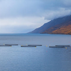 The artificial intelligence of things and its aquaculture applications