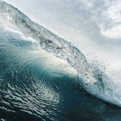 Towards a sustainable ocean: where there’s a will, there’s a wave