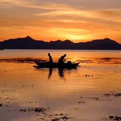 A fresh approach to farming and funding for Indonesia's seaweed sector