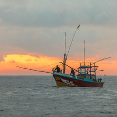 Illegal overfishing by Chinese trawlers leaves Sierra Leone locals ‘starving’