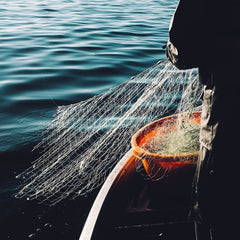 Data-driven, LED-powered smart fishing could help save ocean ecosystems