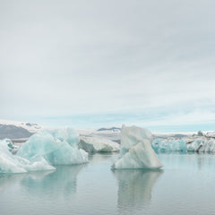 5 Not-So-Fun Facts About Plastics in the Arctic