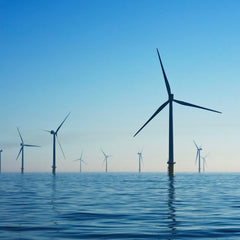 Nature Positive: Offshore wind sector