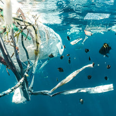 Tackling the Plastic Crisis: Breakthrough Innovations Leading the Way