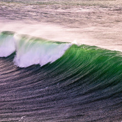 Collaboration to Develop and Build Ocean Energy Farms