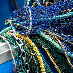 How data and tech can help combat illegal fishing