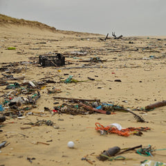 Plastics an 'unfolding disaster' for US marine life