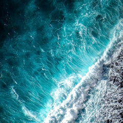 The great blue economy wave
