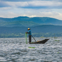 Helping small-scale shrimp farmers gain sustainability recognition