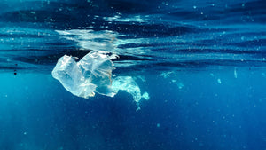 Scientists discover fastest degrading bioplastic in seawater