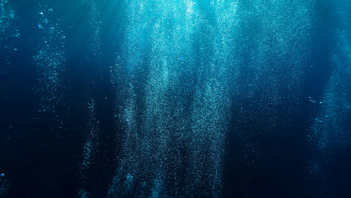 A drop in the ocean: does experimental technology hold the key to saving the world’s seas?