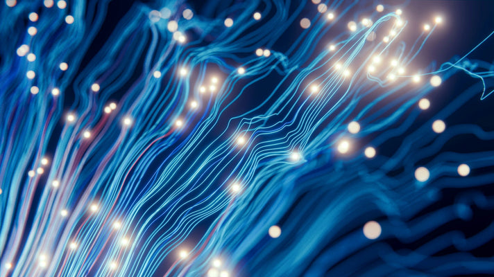 Scientists to map vulnerable ecosystems in the High Seas with AI