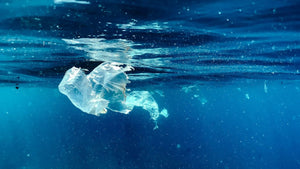 AI systems scour our oceans for floating space debris