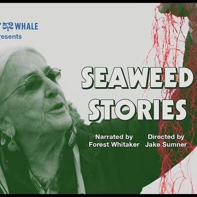 Seaweed Stories