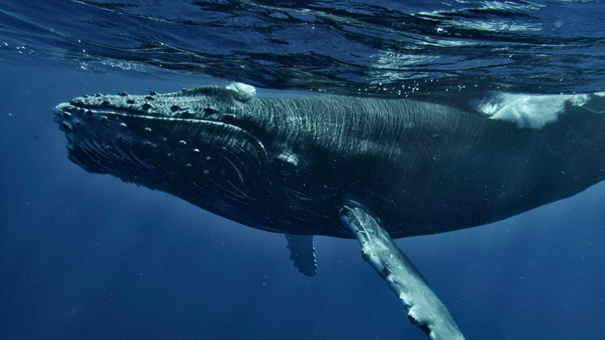 Protecting Blue Corridors