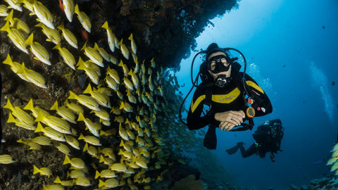 A marine biologist is using virtual reality to bring people closer to the ocean