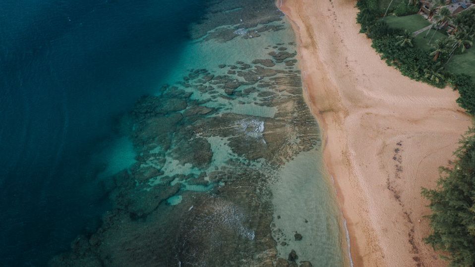 Can Adding Minerals to the Ocean Curb Climate Change?