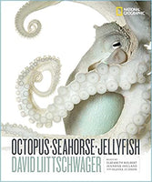 Octopus, Seahorse, Jellyfish