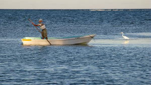 Exploring the Yucatán Peninsula with Fundación Ara macao