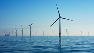 How robots could limit the environmental impact of offshore windfarms