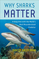 Why Sharks Matter