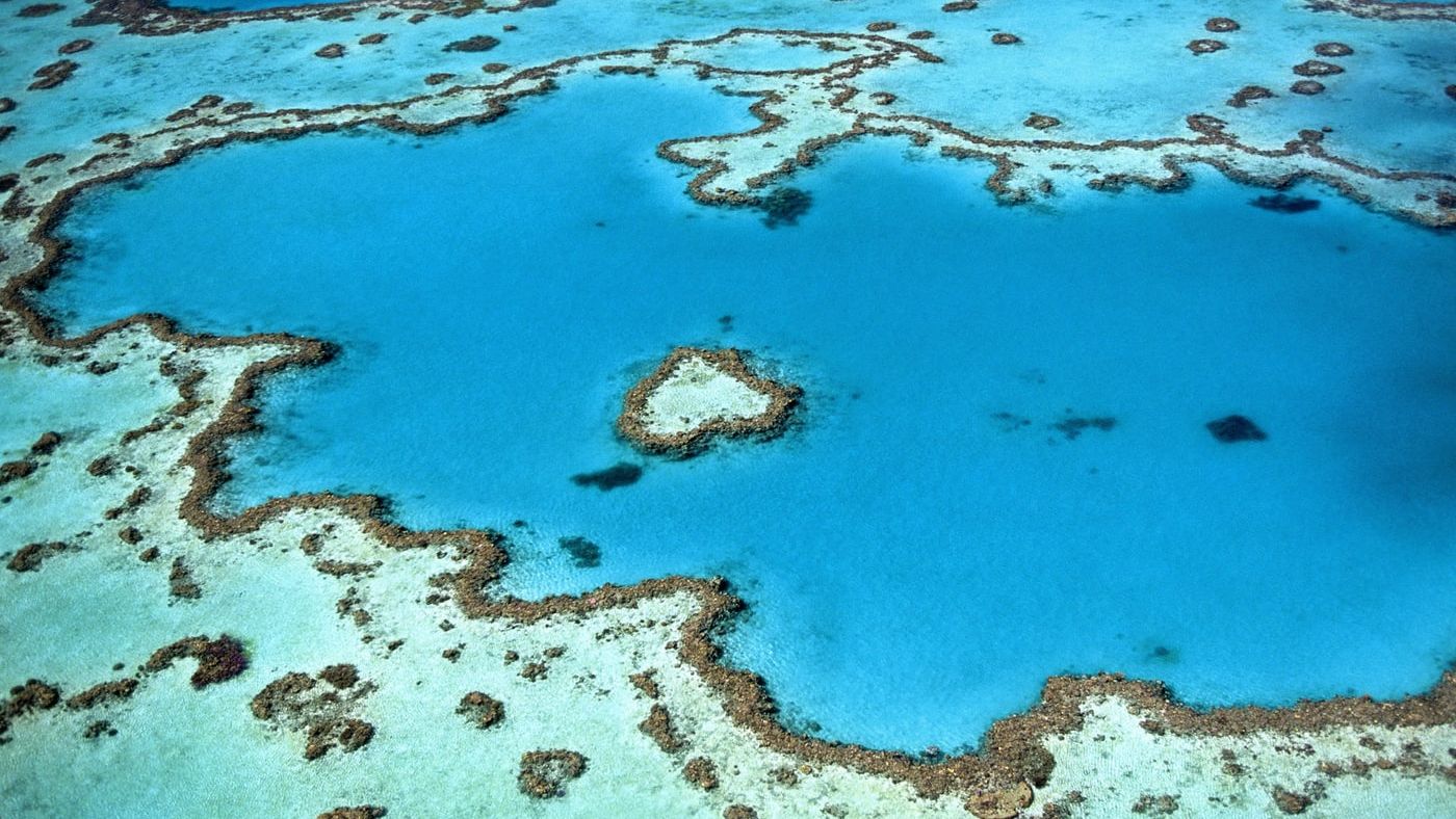 Injecting an Alkalinizing Agent Into the Ocean To Offset 10 Years’ Worth of Acidification of the Great Barrier Reef