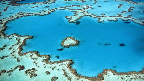 Seaweed systems deployed to protect Great Barrier Reef