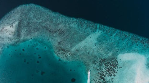 Massachusetts Innovators Aim to Turn Ocean Plastic into Fuel–Right Onboard the Ship