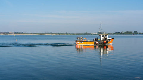 Global Fishing Watch Map