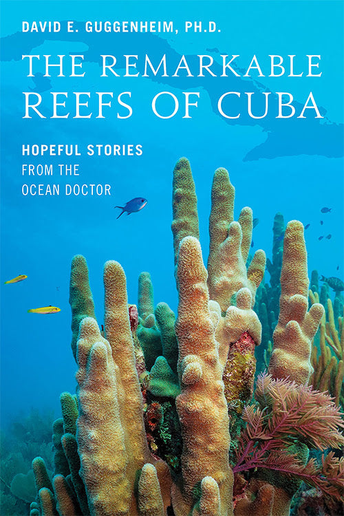 The Remarkable Reefs Of Cuba