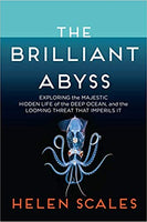 The Brilliant Abyss: Exploring the Majestic Hidden Life of the Deep Ocean, and the Looming Threat That Imperils It